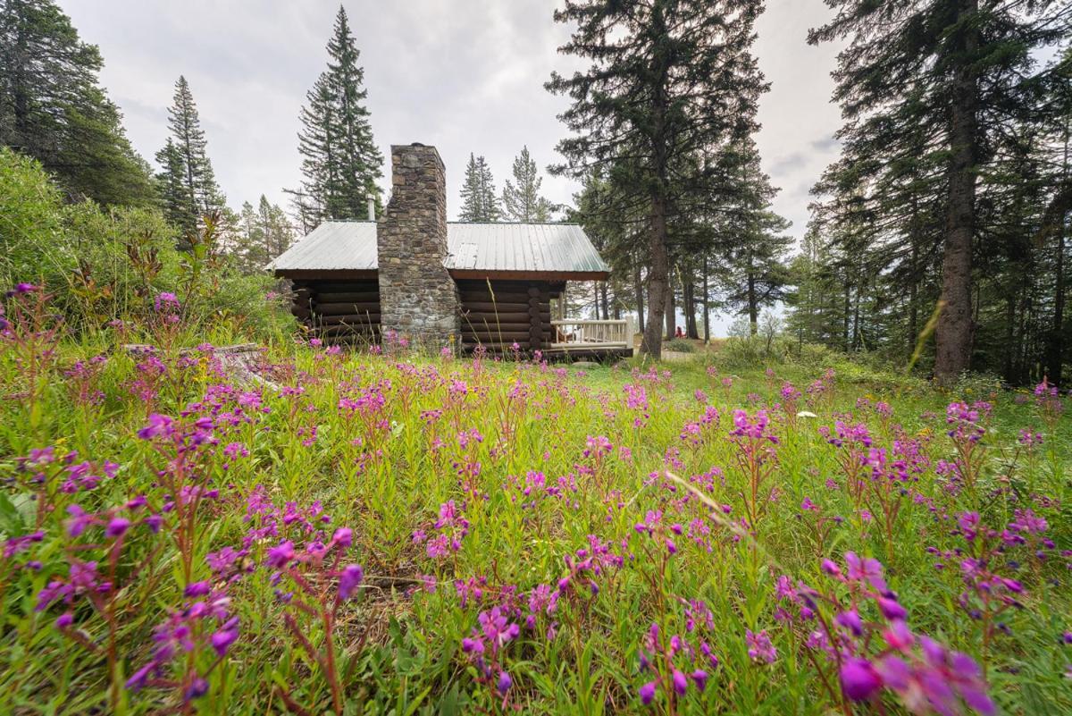 Storm Mountain Lodge & Cabins Касъл Джънкшън Екстериор снимка