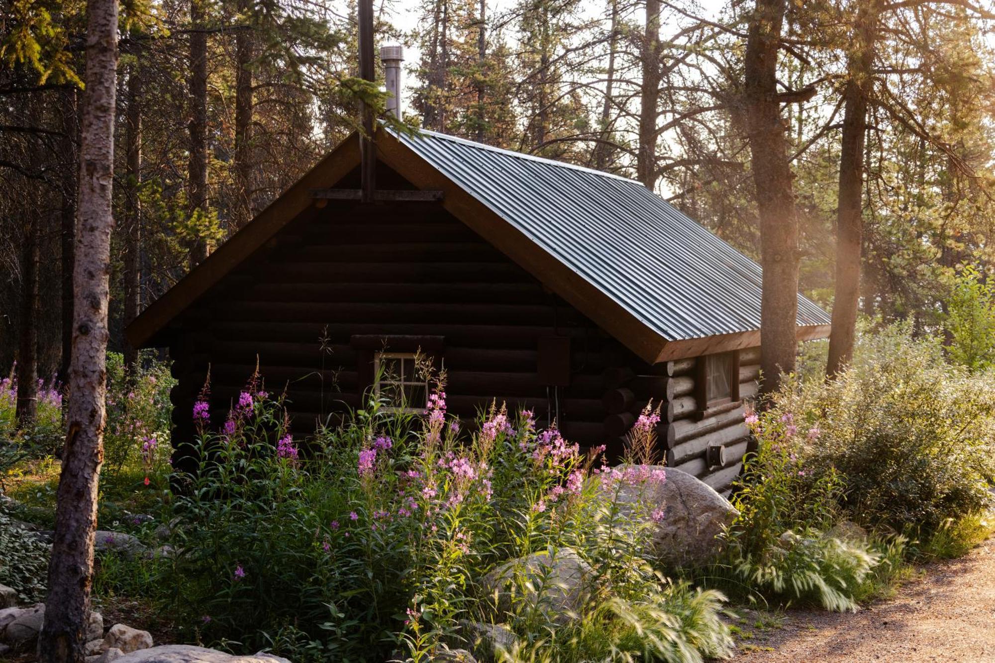 Storm Mountain Lodge & Cabins Касъл Джънкшън Екстериор снимка